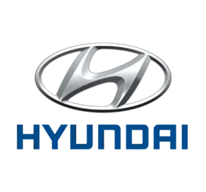 1000-030-336T    Картридж турбіни Hyundai  28231-2F780 282312F780 IX35 TUCSON 14 2.0 CRDi 4WD