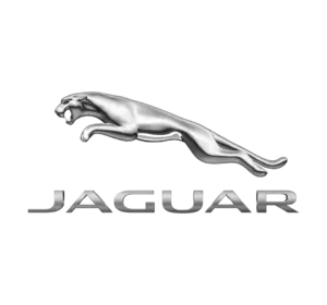 Картридж турбіни      752341-0003      Jaguar S Type 2.7 TDVi AJ V6 Euro 4 (Lion) Left Side 2006