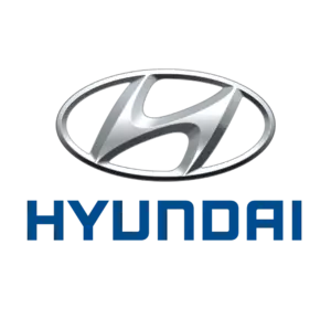 КАртридж турбіни 282103A051  HYUNDAI ix55 3.0 V6 CRDi 4WD BV50-0101 28210-3A051 53049980101